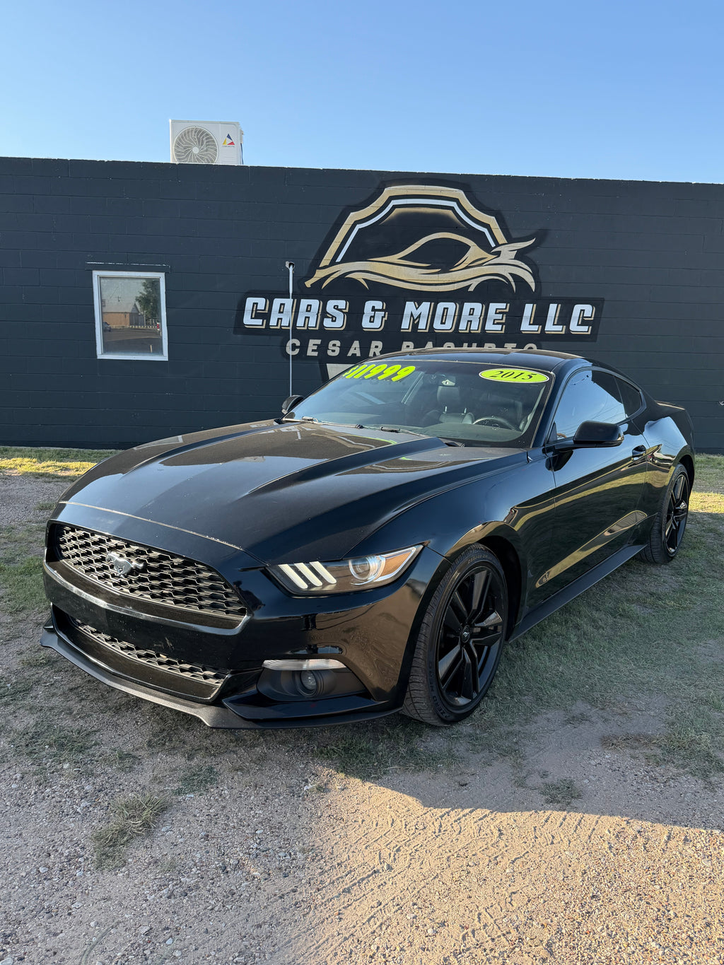 2015 ford mustang